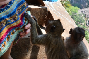 A mischevious pair of juvenille monkeys got ahold of Tamara's dress.
