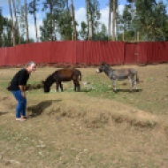 Ethiopia has a lot of donkeys. They are actually pretty entertaining.